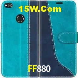 Integração de APIs FF880